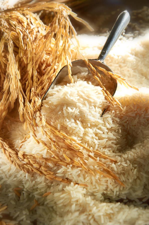 Gold Basmati Rice Kainat 1121 Stream export quality 5kg